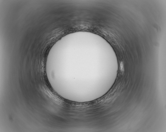 X0000113071203200908281002