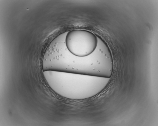 X0000113071205200908281002