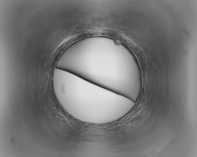 X0000113071206200908281002
