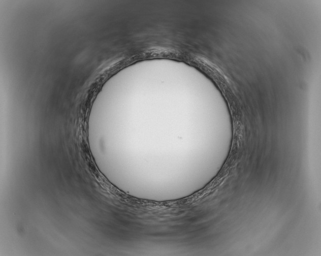 X0000113071207200908281002