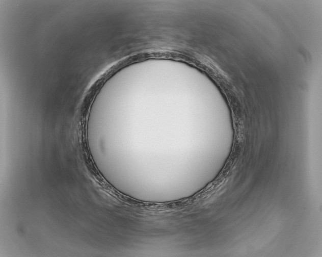 X0000113071208200908281002