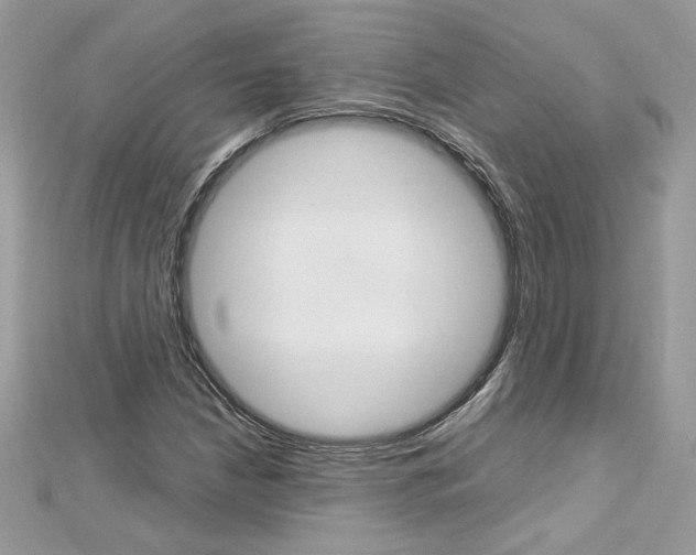 X0000113071210200908281002