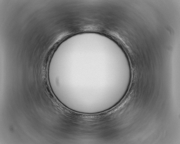 X0000113071211200908281002
