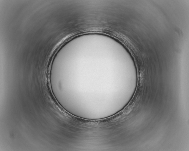 X0000113071212200908281002