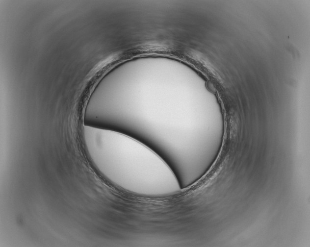 X0000113071213200908281002