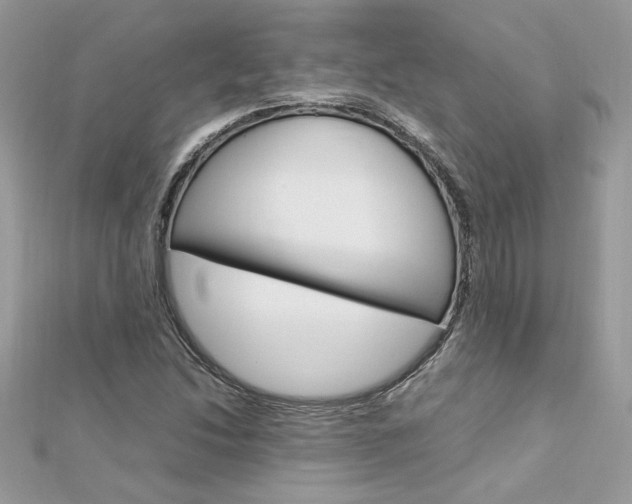 X0000113071214200908281002