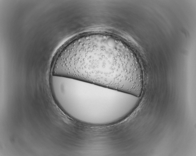 X0000113071216200908281002