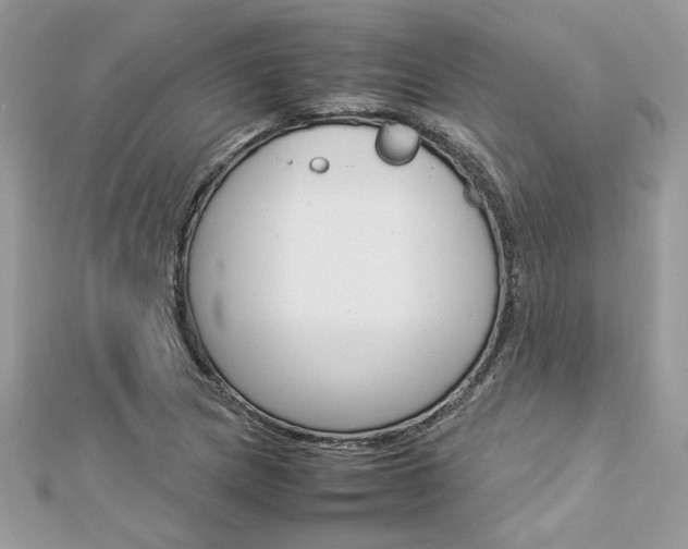 X0000113071217200908281002