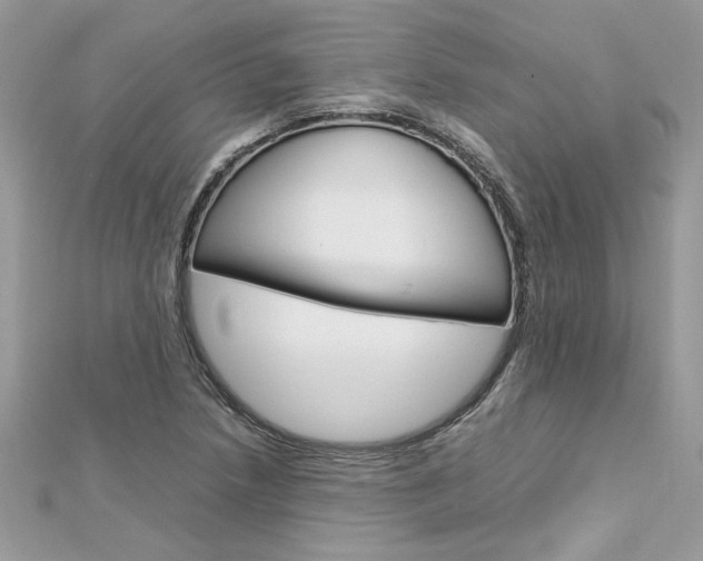 X0000113071218200908281002