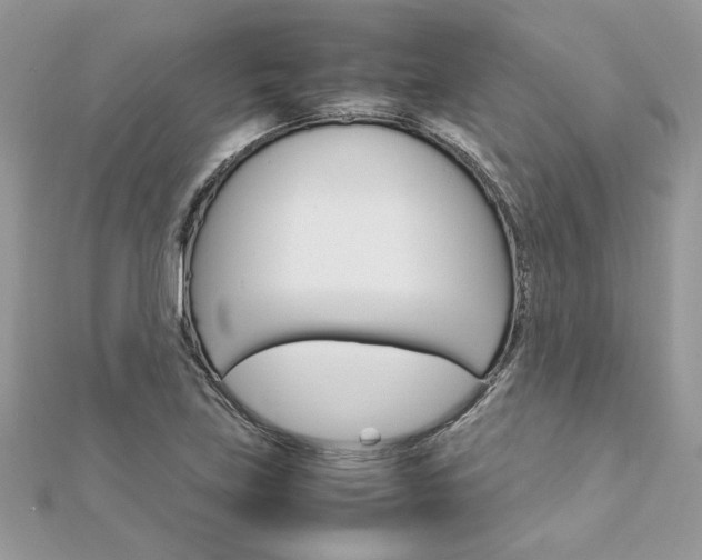 X0000113071219200908281002