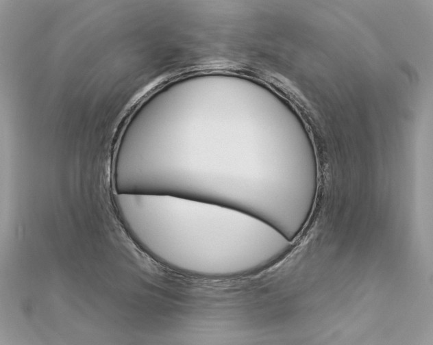 X0000113071220200908281002