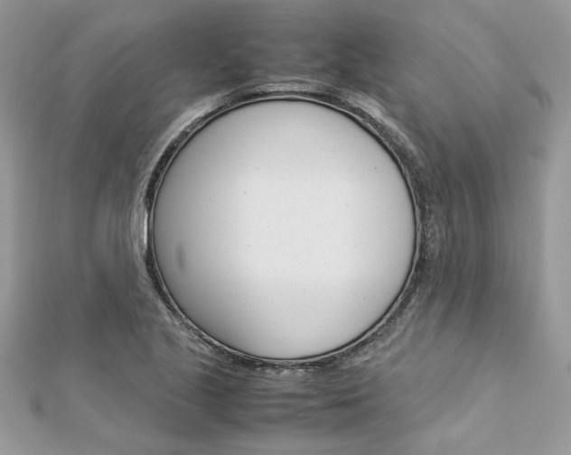 X0000113071221200908281002