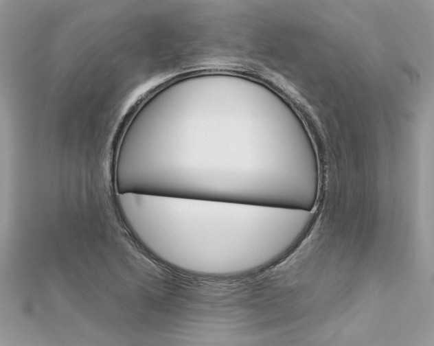 X0000113071222200908281002