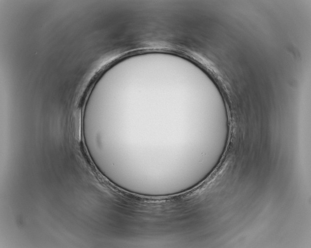 X0000113071223200908281002