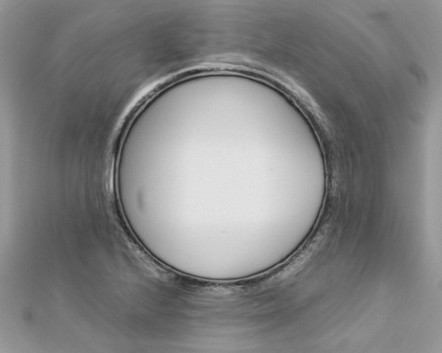 X0000113071224200908281002