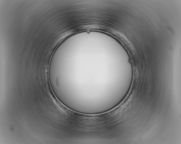 X0000113071225200908281002