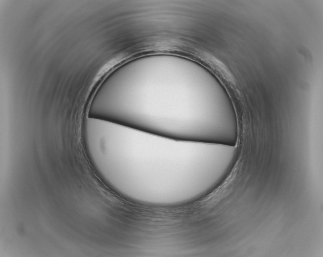 X0000113071226200908281002