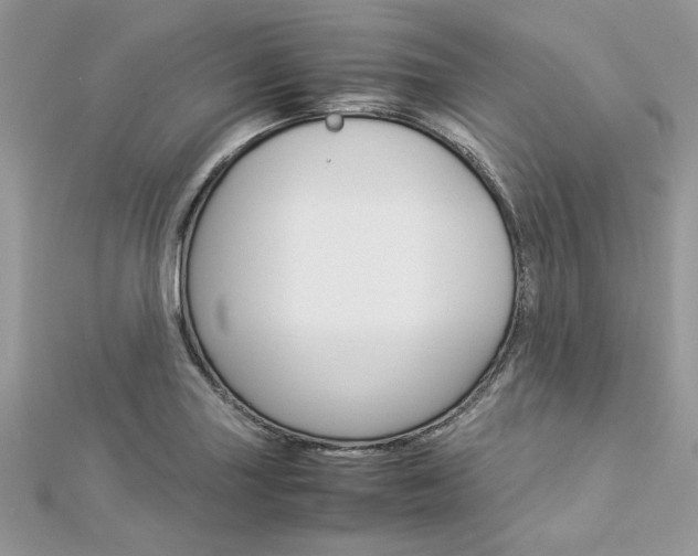 X0000113071227200908281002