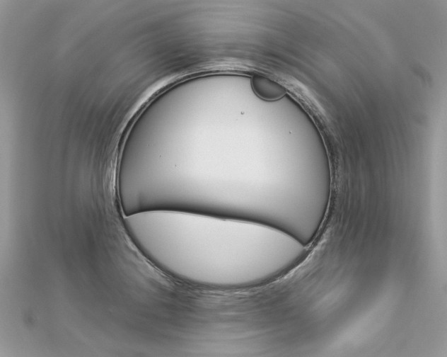 X0000113071228200908281002