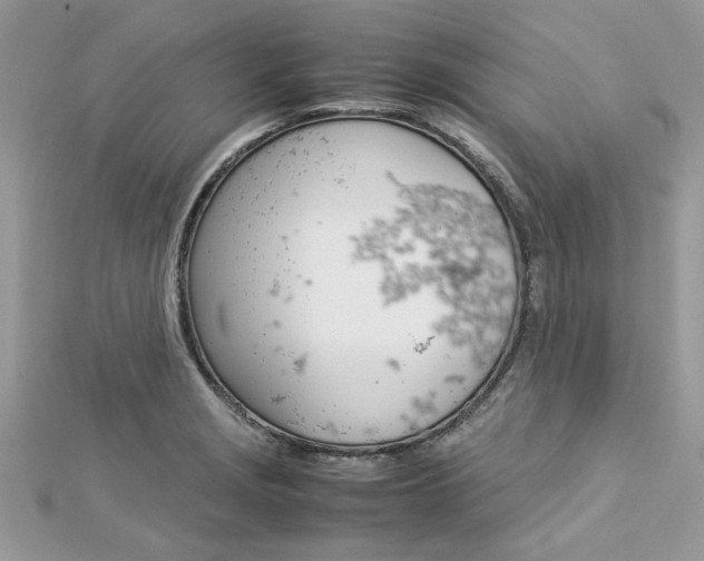 X0000113071229200908281002