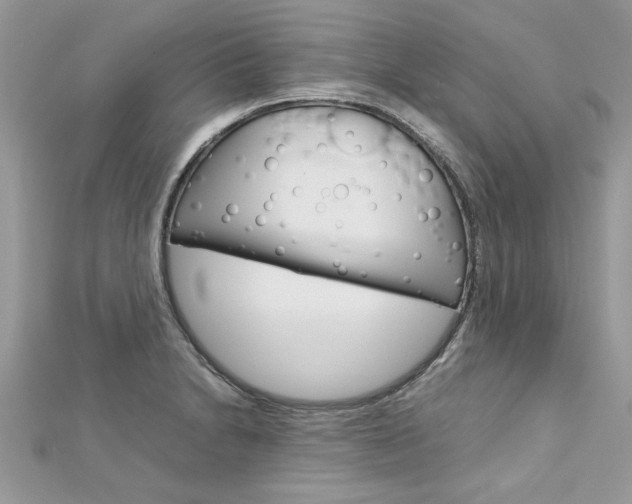 X0000113071230200908281002