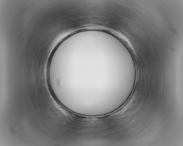 X0000113071231200908281002