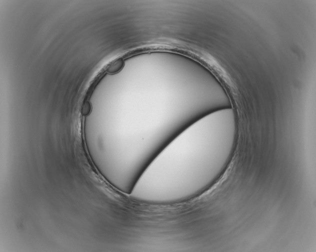 X0000113071232200908281002