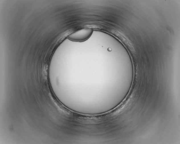 X0000113071233200908281002