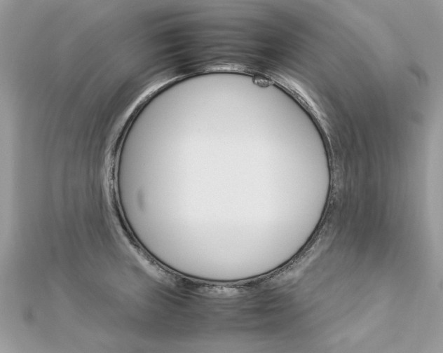 X0000113071235200908281002