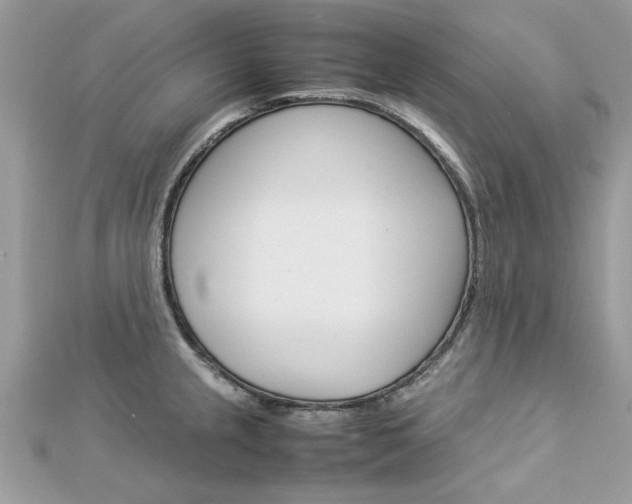 X0000113071237200908281002