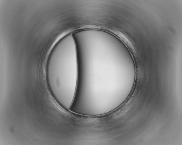 X0000113071238200908281002