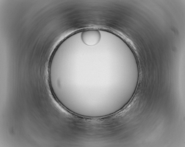 X0000113071239200908281003