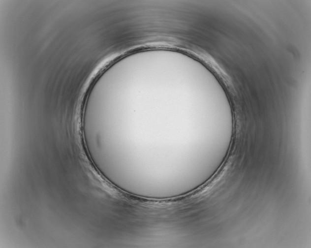 X0000113071240200908281003
