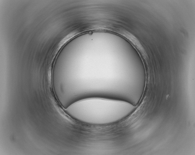 X0000113071242200908281003