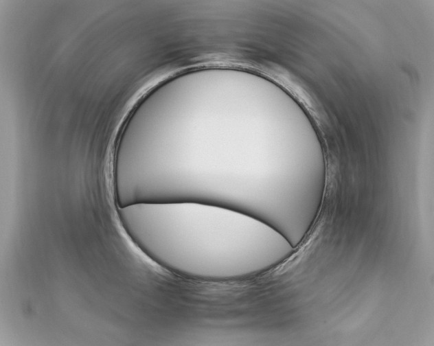 X0000113071247200908281003