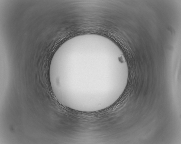 X0000113071249200908281002
