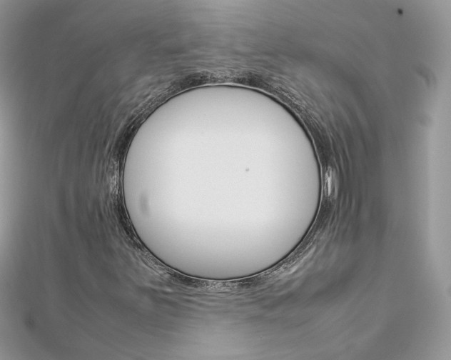 X0000113071251200908281002