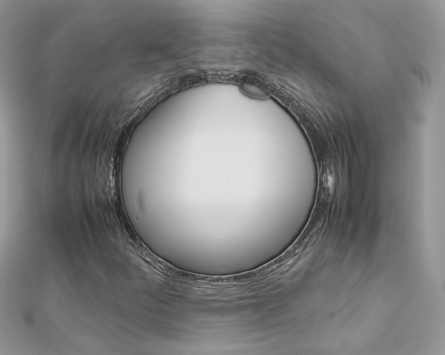 X0000113071252200908281002