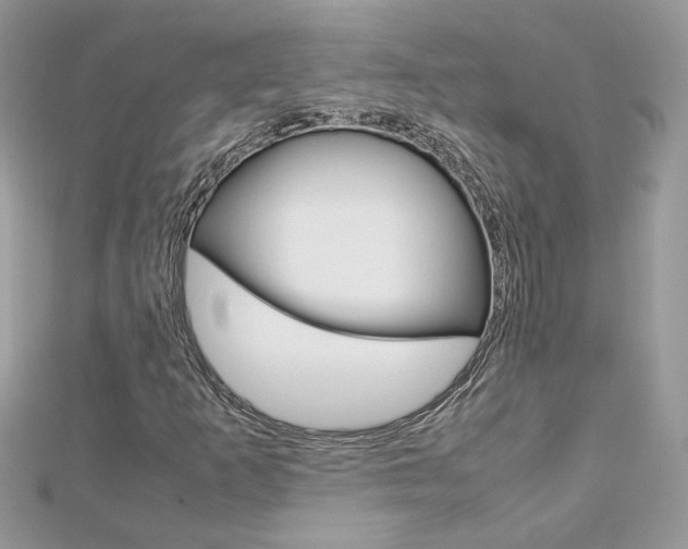 X0000113071253200908281002