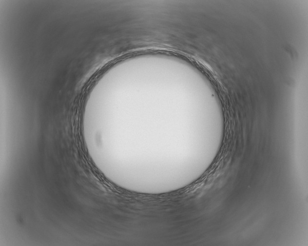 X0000113071255200908281002