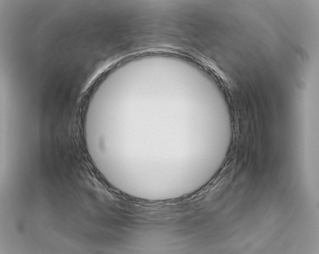 X0000113071256200908281002