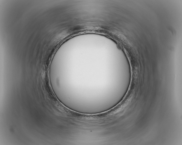 X0000113071257200908281002