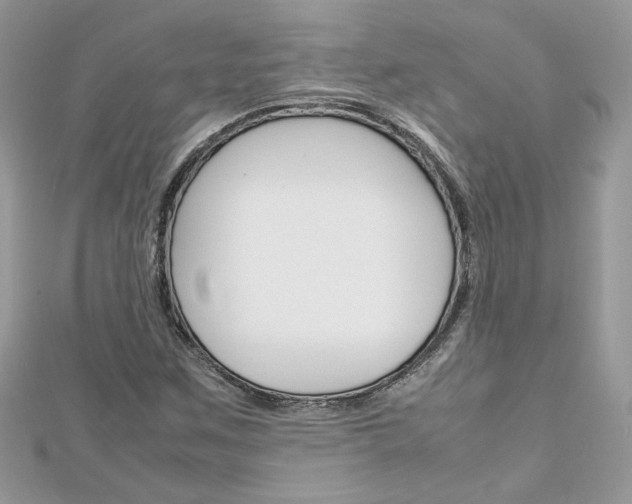 X0000113071259200908281002