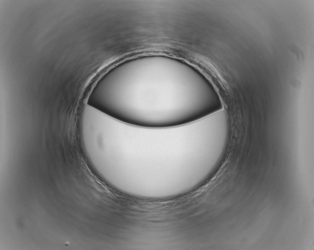 X0000113071260200908281002