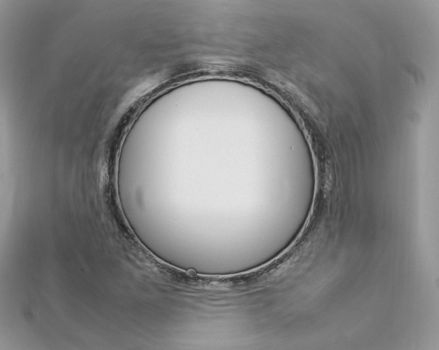 X0000113071261200908281002