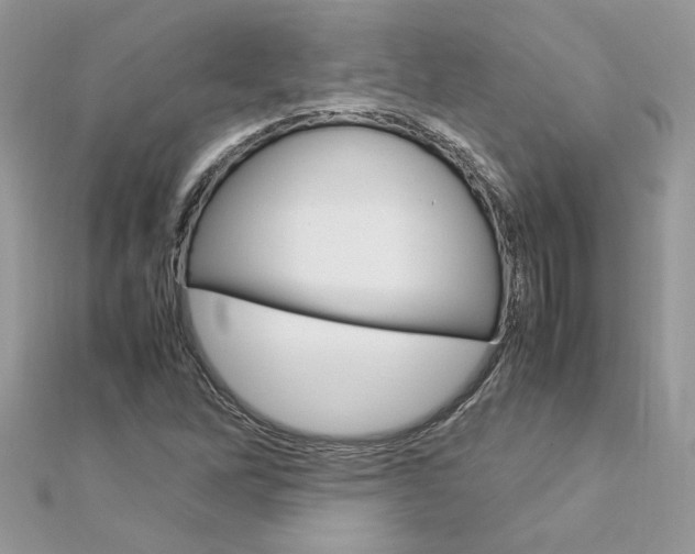 X0000113071262200908281002