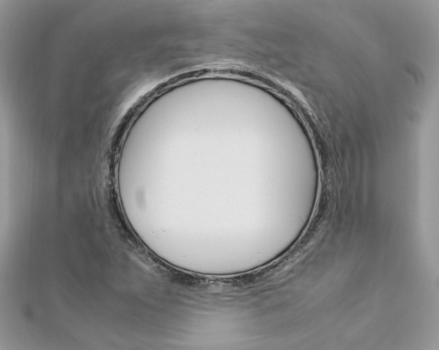 X0000113071263200908281002