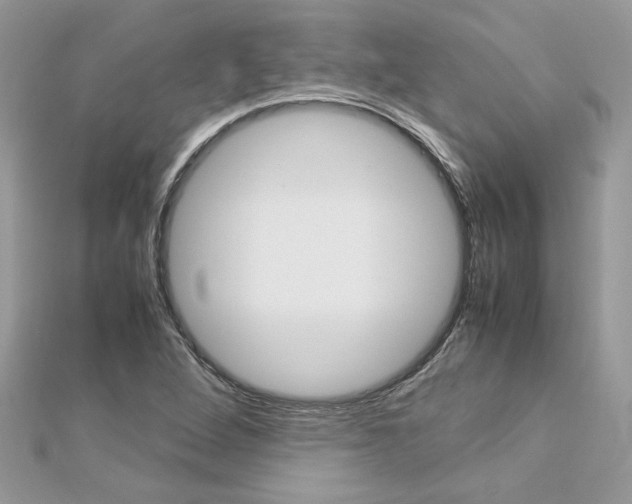 X0000113071264200908281002