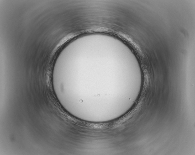 X0000113071266200908281002