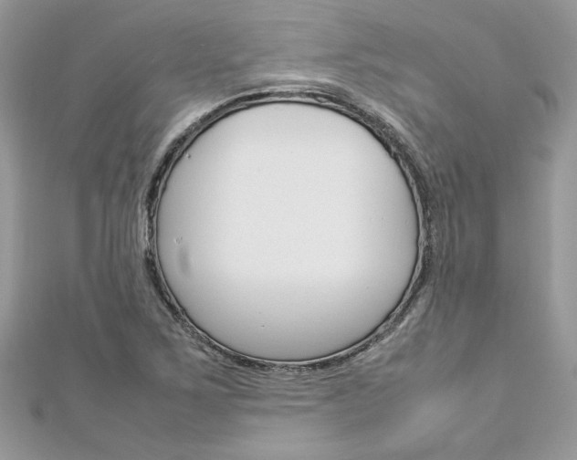 X0000113071267200908281002